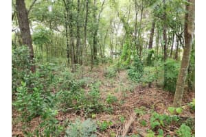 Lot 6 BAHIA CT. TERRACE, OCALA, FL 34472 - MLS#MFROM707622