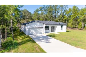 58 Fisher Trace Run, OCKLAWAHA