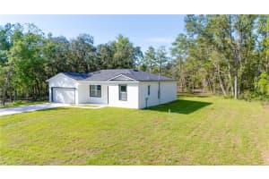 58 FISHER TRACE RUN, OCKLAWAHA, FL 32179 - MLS#MFROM707628