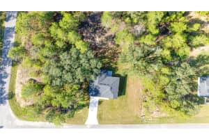 58 FISHER TRACE RUN, OCKLAWAHA, FL 32179 - MLS#MFROM707628