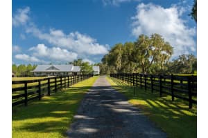 13211 115TH STREET, OCALA, FL 34482 - MLS#MFROM707707