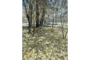 Tract 343 156TH PLACE, DUNNELLON, FL 34432 - MLS#MFROM707778