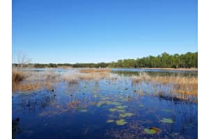 13.12ac NE HWY 315, FORT MC COY, FL 32134 - MLS#MFROM707817