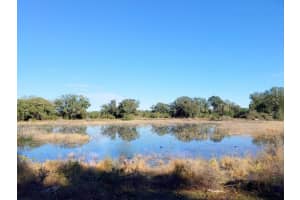 13.12ac NE HWY 315, FORT MC COY, FL 32134 - MLS#MFROM707817