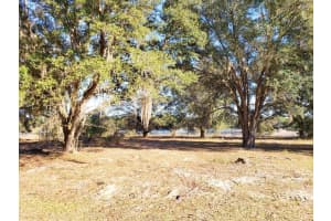 13.12ac NE HWY 315, FORT MC COY, FL 32134 - MLS#MFROM707817