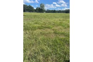 74 LOCUST RUN, OCALA, FL 34472 - MLS#MFROM707854