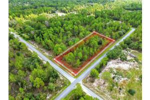 TBD LITTLE CLIFFS DRIVE, DUNNELLON, FL 34431 - MLS#MFROM707855