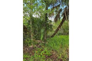 10894 LARCHWOOD STREET, HOMOSASSA, FL 34448 Sold 09/03/25
