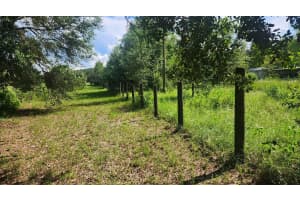 14040 SE HIGHWAY 42, WEIRSDALE, FL 32195 Sold 01/14/26