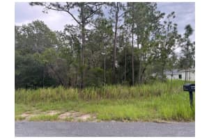 LOCUST LN, OCALA, FL 34472 - MLS#MFROM707955