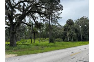 9600 90TH STREET ROAD, FORT MC COY, FL 32134 - MLS#MFROM707957
