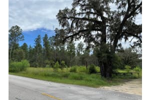 9600 90TH STREET ROAD, FORT MC COY, FL 32134 - MLS#MFROM707957