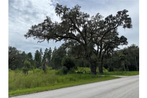 9600 90TH STREET ROAD, FORT MC COY, FL 32134 - MLS#MFROM707957