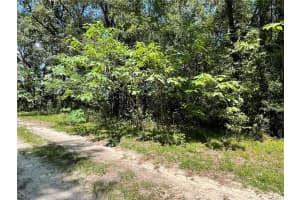 Lot 30 31ST PLACE, OCALA, FL 34481 - MLS#MFROM707997