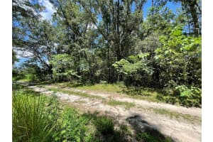 Lot 30 31ST PLACE, OCALA, FL 34481 - MLS#MFROM707997