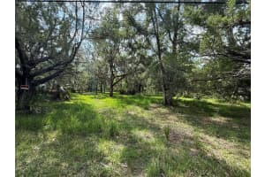 11990 ELDRED LANE, HOMOSASSA, FL 34448 - MLS#MFROM708001