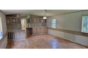 14120 95TH AVENUE, SUMMERFIELD, FL 34491 - MLS#MFROM708035