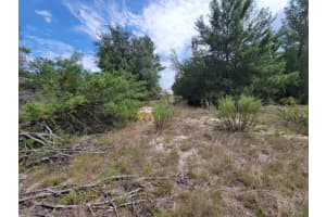 Corner of Oak and CYPRESS ROAD, OCALA, FL 34472 - MLS#MFROM708040