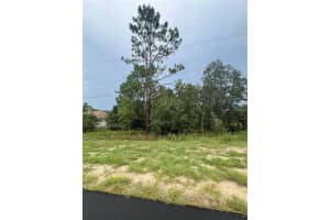 143rd SW LANE ROAD, OCALA, FL 34473 - MLS#MFROM708107