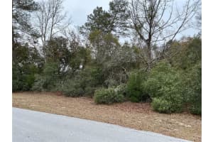 SW 137TH LOOP, OCALA, FL 34473 - MLS#MFROM708108