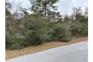 SW 137TH LOOP, OCALA, FL 34473 - MLS#MFROM708108