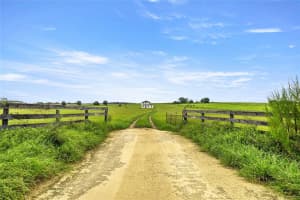 21786 27TH STREET, MORRISTON, FL 32668 - MLS#MFROM708110