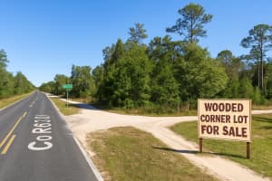 00 235TH PLACE, FORT MC COY, FL 32134 - MLS#MFROM708113