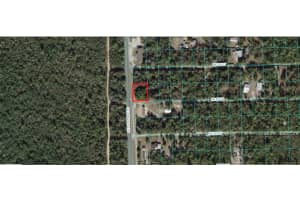 00 235TH PLACE, FORT MC COY, FL 32134 - MLS#MFROM708113