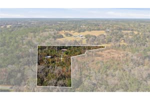 19040 88TH AVENUE ROAD, REDDICK, FL 32686 - MLS#MFROM708126