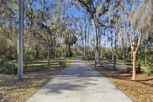 19040 88TH AVENUE ROAD, REDDICK, FL 32686 - MLS#MFROM708126