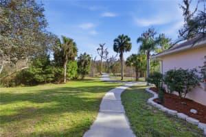 19040 88TH AVENUE ROAD, REDDICK, FL 32686 - MLS#MFROM708126