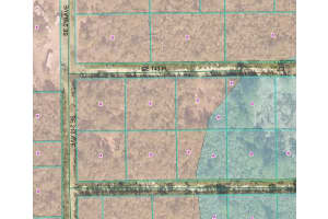 21068 143RD PLACE, UMATILLA, FL 32784 Sold 09/29/25