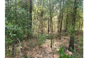 LOT 12 96TH LANE, DUNNELLON, FL 34432 - MLS#MFROM708221