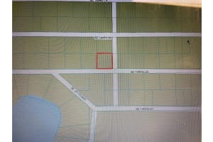 21139 144TH LANE, UMATILLA, FL 32784 - MLS#MFROM708252