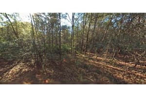 SW 29TH ST, OCALA, FL 34481 - MLS#MFROM708260