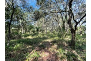 LOTS 15 & 16 SHOREWOOD DRIVE, DUNNELLON, FL 34431 - MLS#MFROM708300