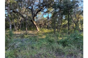 00 152ND PLACE, DUNNELLON, FL 34432 - MLS#MFROM708312