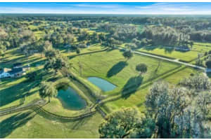 SW 9TH TER, OCALA, FL 34476 - MLS#MFROM708339
