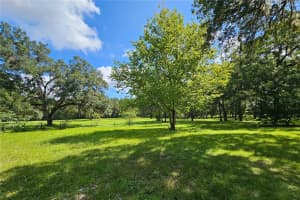 12051 100TH STREET, OCALA, FL 34482 - MLS#MFROM708350