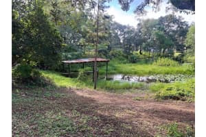 18487 18TH STREET ROAD, SILVER SPRINGS, FL 34488 - MLS#MFROM708359