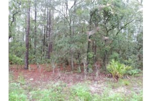 TBD 135TH TERRACE ROAD, DUNNELLON, FL 34432 - MLS#MFROM708372
