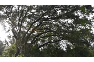 OFF 166TH AVE, WILLISTON, FL 32696 - MLS#MFROM708393