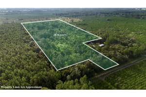 OFF 166TH AVE, WILLISTON, FL 32696 - MLS#MFROM708393