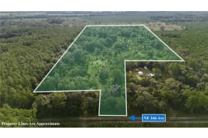 OFF 166TH AVE, WILLISTON, FL 32696 - MLS#MFROM708393