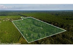 OFF 166TH AVE, WILLISTON, FL 32696 - MLS#MFROM708393