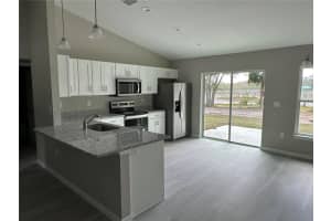 217 FISHER ROAD, OCKLAWAHA, FL 32179 - MLS#MFROM708395