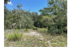 LOTS 462 & 463 SHOREWOOD DRIVE, DUNNELLON, FL 34431 - MLS#MFROM708409