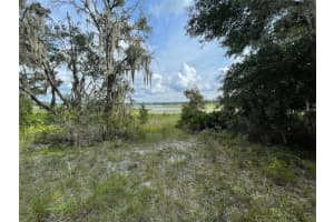 LOTS 462 & 463 SHOREWOOD DRIVE, DUNNELLON, FL 34431 - MLS#MFROM708409