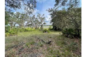 LOTS 462 & 463 SHOREWOOD DRIVE, DUNNELLON, FL 34431 - MLS#MFROM708409