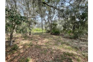 LOTS 462 & 463 SHOREWOOD DRIVE, DUNNELLON, FL 34431 - MLS#MFROM708409